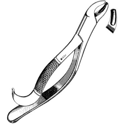 Sklar Dental Extracting Forceps #24