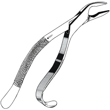 Sklar Dental Extracting Forceps #85A