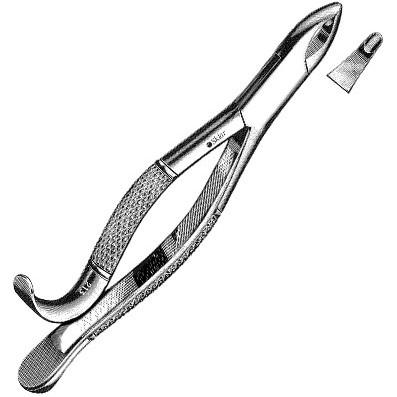 Sklar Dental Extracting Forceps #213