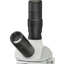 Unico Dual Viewing Head