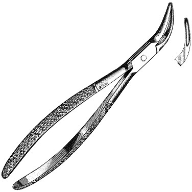 Sklar Dental Witzel Extracting Forceps