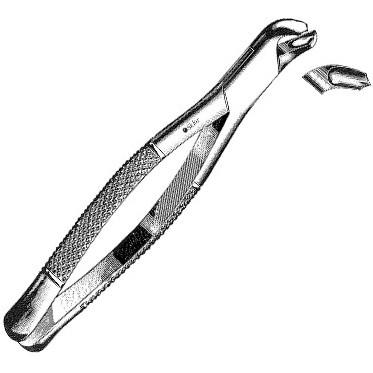 Sklar Dental Childrens Extracting Forceps #17S